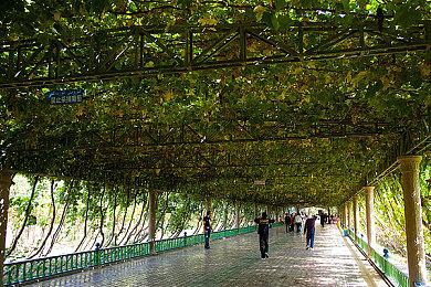 像素可爱风休闲冒险游戏《小小飞翼快递》现已正式发售 获得好评